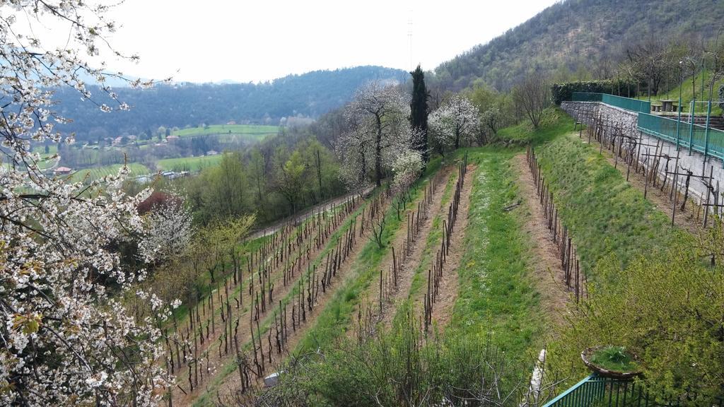 לינה וארוחת בוקר טרסקורה בלנאריו Agriturismo Il Mirabile מראה חיצוני תמונה