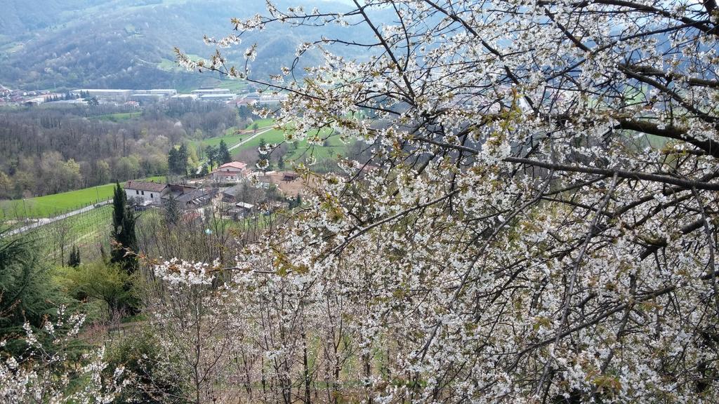 לינה וארוחת בוקר טרסקורה בלנאריו Agriturismo Il Mirabile מראה חיצוני תמונה